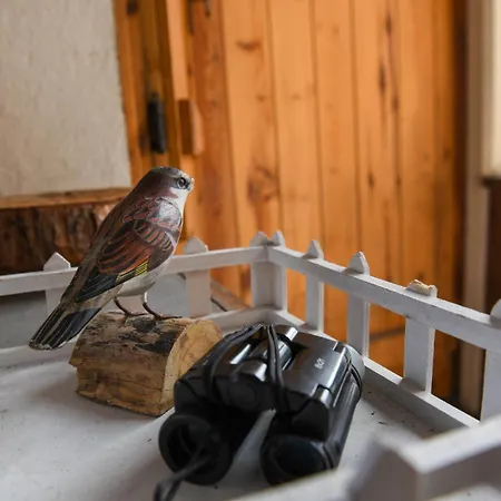 Appartement Sant'orso Cozy *